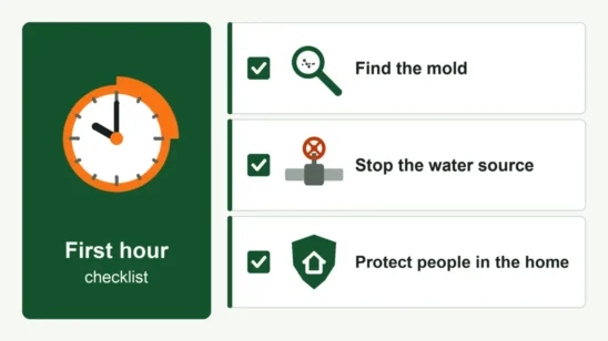 Illustrated first-hour checklist for finding mold, stopping the water source and protecting people in the home